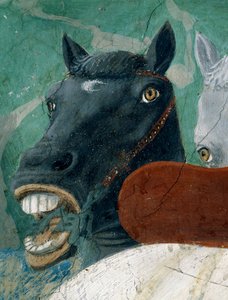 Legenda o pravém kříži, přijetí královny ze Sáby králem Šalamounem, detail koně, dokončeno 1464, freska