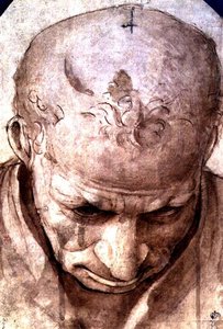Hlava staršího muže (pero, hnědý inkoust a mytí) od Piero di Cosimo