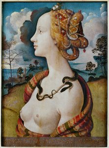 Portrét ženy řekl o Simonettě Vespucci od Piero di Cosimo