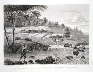 New South Wales, New Holland: Pohled na řeku Cox na západě Modrých hor, z „Voyage Autour du Monde (1817-20)“, Louis Claude Desaulses de Freycinet (1779-1842), vyryto Schroederem, publikováno 1822 -24 (litho) od Pierre Antoine (after) Marchais