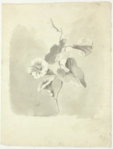 Ranní glorie od Pierre Antoine Mongin