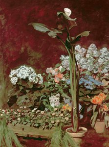 Lilie a skleníkové rostliny od Pierre Auguste Renoir