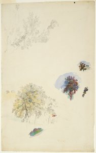 Studie stromů a listů od Pierre-Auguste Renoir