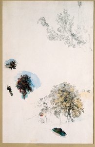 Studie stromů od Pierre Auguste Renoir
