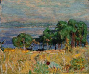 Zátoka Saint-Tropez od Pierre Bonnard