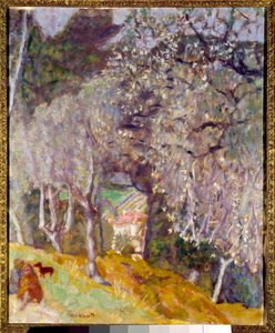 Dům v Olivách od Pierre Bonnard