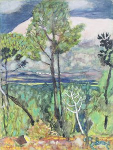 Krajina od Pierre Bonnard