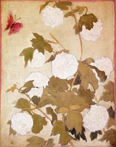 Sněhové koule Květiny Sněhové koule (Viburnum Ob) a červený motýl. Obraz Pierra Bonnarda (1867-1947) Sbírka P. M. Samuel od Pierre Bonnard