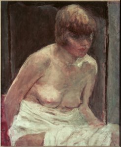 Torzo mladé ženy v bílém županu od Pierre Bonnard