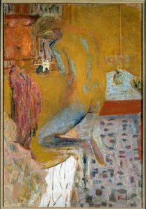 Žena má svůj záchod od Pierre Bonnard