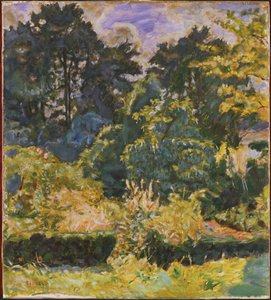Lesy v létě od Pierre Bonnard