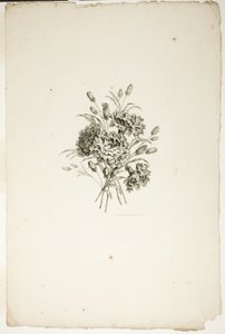 Kytice s karafiáty, ze sbírky různých kytic květin, vynalezené a nakreslené Jean Pillement a vyryté P. C. Canotem od Pierre Charles Canot