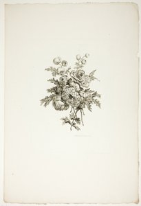 Kytice s pivoňkami ze sbírky různých kytic květin, kterou vymyslel a nakreslil Jean Pillement a vyryl P. C. Canot od Pierre Charles Canot