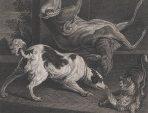 Psi a zátiší, 1778