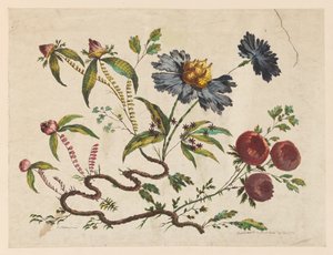 Tisk, Flower Boughs, z knihy "Recueil de Differentes Fleurs de Fantaisie Dans le Goût Chinois". od Pierre Charles Canot