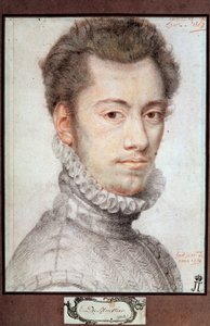 Portrét Etienna Dumoustiera, c1570