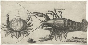 Humr, krab, mlok a mušle Rybaření (název seriálu) Ikony Piscium vivae (název série)