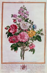 Kytice růží Litografie od Pierra Josepha Buchoze (1731-1807) Paříž 18. století, B.N. od Pierre Joseph Buchoz