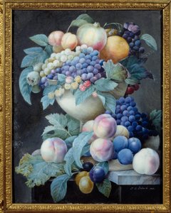 Hrozny v šálku. Obraz Pierra Josepha Redouta (1759-1840) od Pierre Joseph Redouté