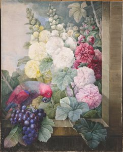 Hollyhocks, hrozny a papoušek, 1836. od Pierre Joseph Redouté
