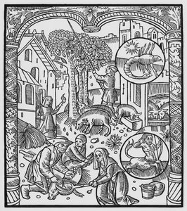 Listopad, zabíjení prasete a sklizeň žaludů, Štír, ilustrace z 