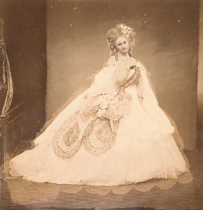 Bisi. Budoár, šedé sametové šaty, růžové moaré, růžové květy, šedé listy její mai,..., 60. léta 19. století. od Pierre Louis Pierson