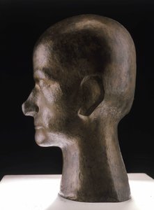 Busta Baudelaira, bronz od Pierre Maurice Raymond Duchamp Villon