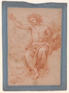 Studie von Apollo oder Johannes dem Täufer od Pierre Mignard