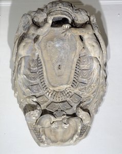 Ruce krále Ludvíka XIV. (1638-1715) (mramor)