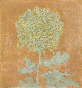 Chryzantéma od Piet Mondrian