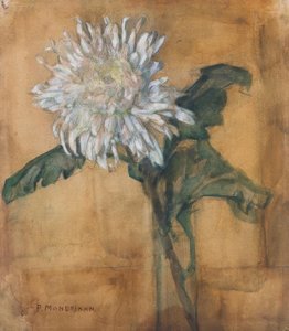 Chryzantéma od Piet Mondrian