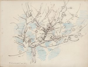 Kvetoucí strom, cca 1917-18 (tužka a pastelka na papíře) od Piet Mondrian