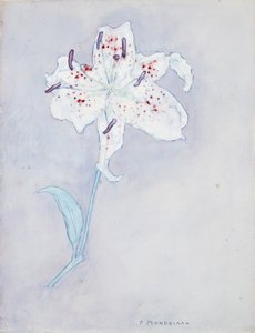 Lilie, cca 1920-25 (akvarel na papíře) od Piet Mondrian