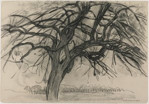 Předběžná studie pro večer: (černá pastelka a uhel na papíře), 1908. od Piet Mondrian