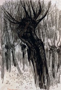 Vrby od Piet Mondrian