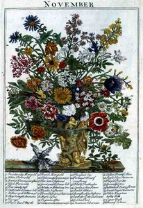 Listopad, z knihy "The Flower Garden Displayed" od Roberta Furbera (asi 1674-1756), vyryl James Smith, vyd. 1732 (kolorovaná rytina)