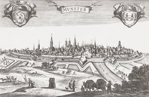 Panorama Munsteru, Německo (tisk) od Pieter (after) Nolpe