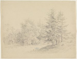 Výhled na les s borovicemi od Pieter Bartholomeusz. Barbiers