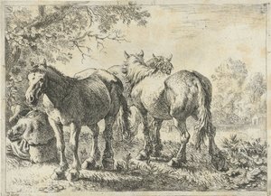 Tři koně a farmář Různá zvířata (název série)
