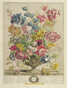 Duben, z „Dvanáct měsíců květů“, od Roberta Furbera (asi 1674-1756), vyryto Henrym Fletcherem (fl.c. 1729), vydáno 1730 (barevná akvatinta) (viz také 125934)