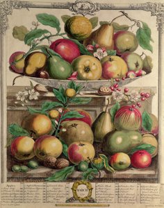 března, z „Dvanáct měsíců ovoce“, od Roberta Furbera (asi 1674-1756), vyryto Henrym Fletcherem, 1732 (barevná rytina) od Pieter Casteels