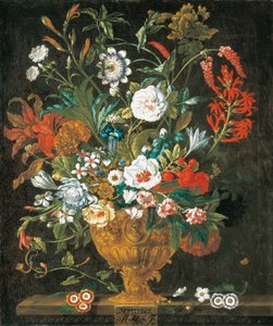 září, od Dvanáct měsíců květin, květinový kalendář zátiší od Pieter Casteels
