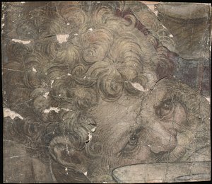 Hlava vousatého muže, který se dívá nahoru od Pieter Coecke van Aelst