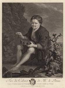 Lapač krys