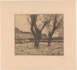 Pollard vrby na louce od Pieter Dupont (signed by artist)