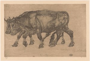 dva voli od Pieter Dupont