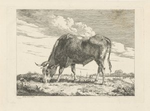 pasoucí se kráva od Pieter Gerardus van Os