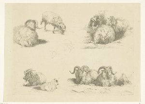 Čtyři představení s ovcemi a kozami Ovce a kozy (název série) od Pieter Gerardus van Os