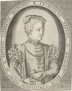Portrét Františka II Francie 1544-1560 od Pieter Heyden van der