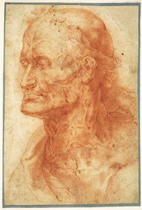 Studie hlavy starého muže, asi 1602. od Pieter Paul Rubens